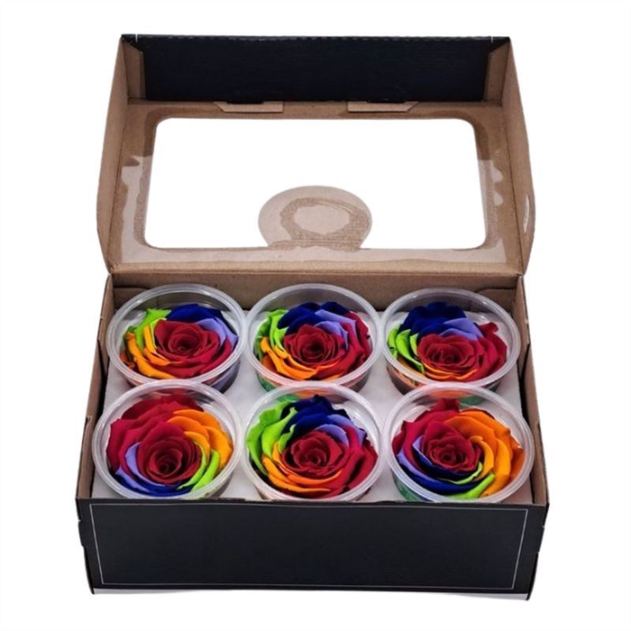 <h4>Rosa Preserved Ll Rainbow Red 02</h4>