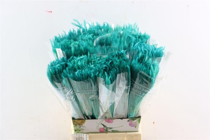 <h4>Dried Silk Worms Extra Turquoise Bunch</h4>