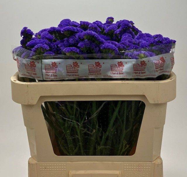 <h4>LIM S MARINA VIOLET 65 gr</h4>