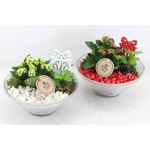 arr2 PL - Glas schaal ribbel x3 - rood/wit