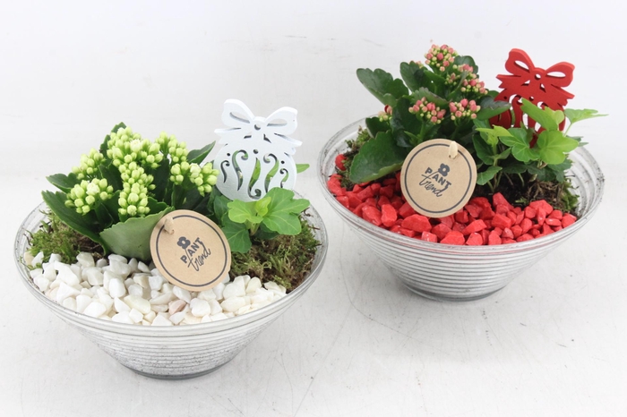 <h4>arr2 PL - Glas schaal ribbel x3 - rood/wit</h4>