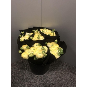 Ran Suc Creme 511 Sup