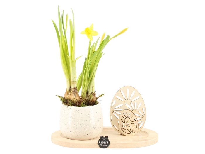 <h4>70812: Easter arrangement</h4>