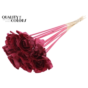 Shola Dear Holly 6cm on stem Burgundy
