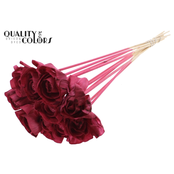 <h4>Shola Dear Holly 6cm on stem Burgundy</h4>