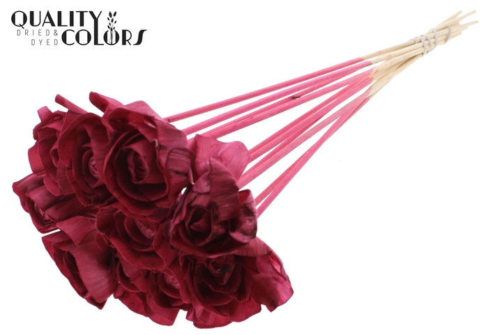 Shola Dear Holly 6cm on stem Burgundy