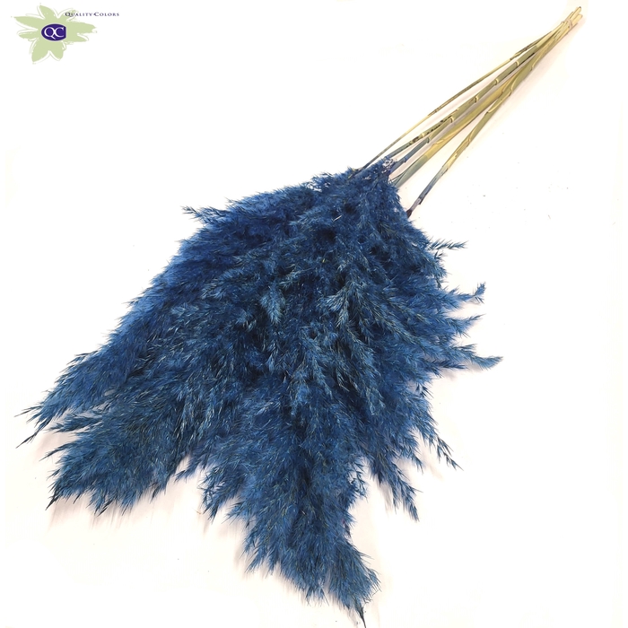 <h4>Pampas Grass 100cm 5stems per bunch Dark Blue</h4>