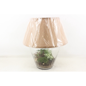 arr3 WR - Terrarium Victoria Lamp XL