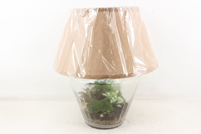 <h4>arr3 WR - Terrarium Victoria Lamp XL</h4>