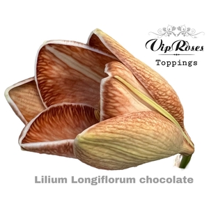 Li Lf Chocolate