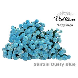 Chr Sant Paint Dusty Blue