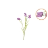 Silk Fritillary Flower Purple Single Stem 58cm