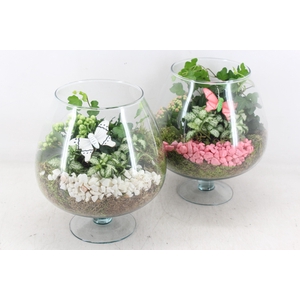 arr2 PL - Glas cognac x2 - roze/wit