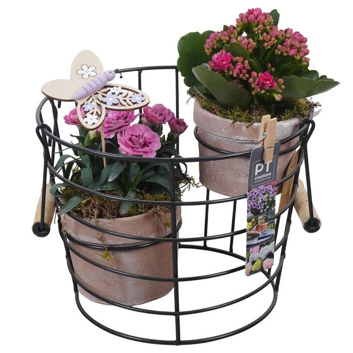 <h4>PTPP6923 Arrangement Patio in terracotta pot met metaal</h4>