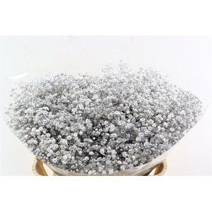 Gyps Grof. Mtlc Silver