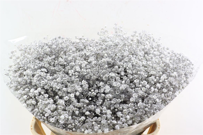 <h4>Gyps Grof. Mtlc Silver</h4>