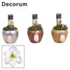 Amaryllis Wit 2 Knop in Melanie KERST (Decorum)