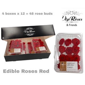 ZS EDIBLE ROSALICIOUS RED x4