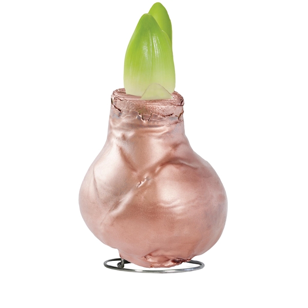 <h4>Amaryllis TOW Gloss Copper 6x1, rode bloem, kunstof</h4>