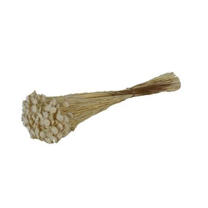 Bunch Glixia Slv 80g L40