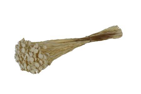 Bunch Glixia Slv 80g L40