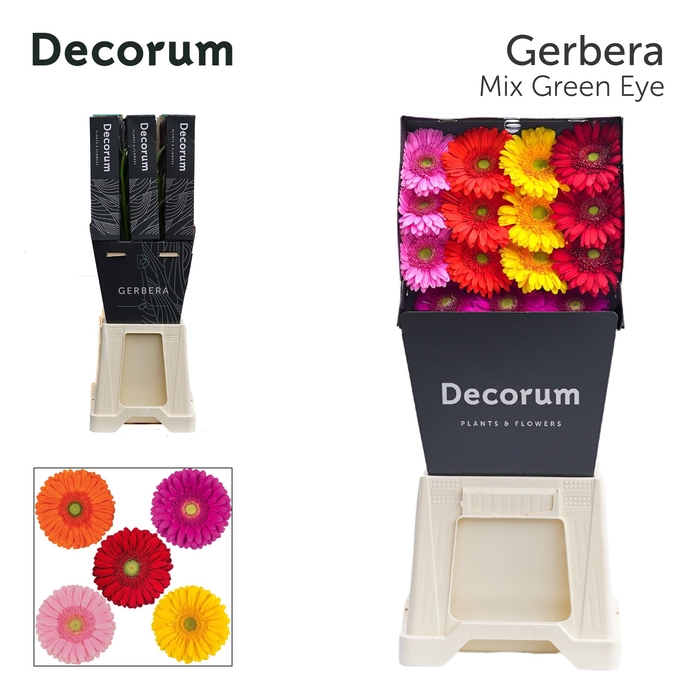 <h4>Gerbera Mix groen hart Diamond</h4>