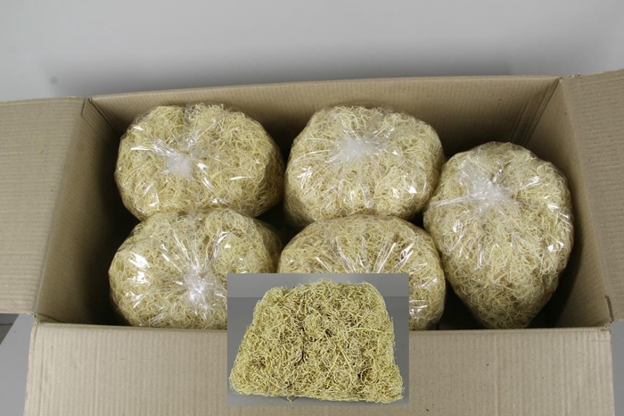 <h4>Tamarind Fiber Bleach(Bg 500g)</h4>