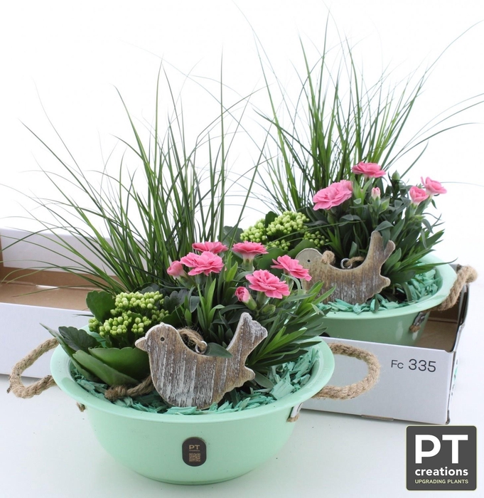 <h4>ARR TUINPLANTEN</h4>
