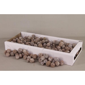 Amberbaum Box Whitewash(1 Kg)