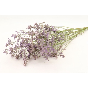 Bunch Limonium Diamond Slv 50g L60