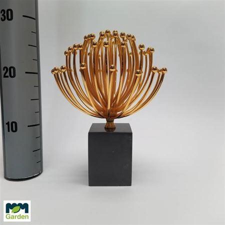 <h4>Allium Goud Op Ivoor Kleuren Voet H28 D20</h4>