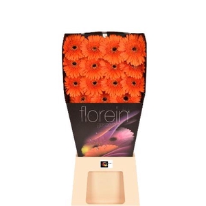 GE GR CAPELLA Diamond 45