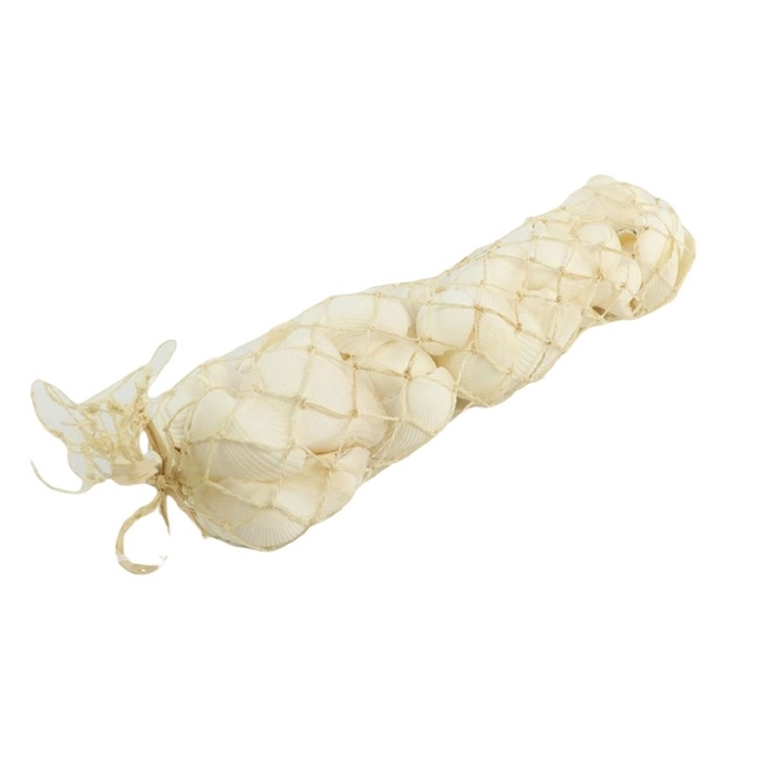 <h4>Schelpen Cockles Arca 750g</h4>