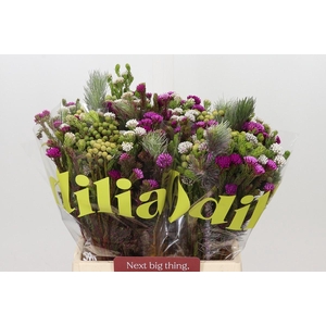 BQ Kaaps Groen Mountain Mix