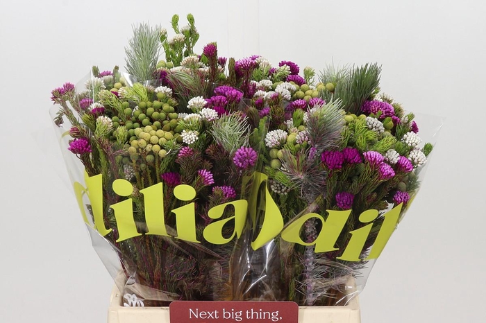 <h4>BQ Kaaps Groen Mountain Mix</h4>