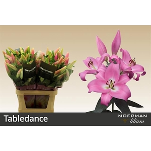 Li Or Tabledance