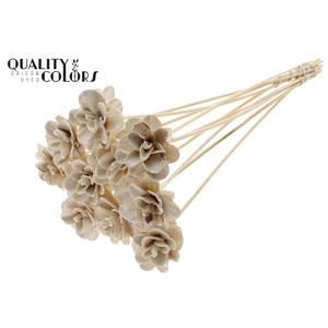 Beetal Rose 6cm on stem Wax White
