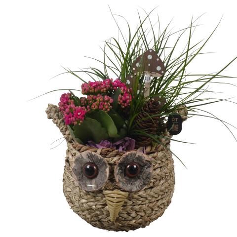 <h4>PTHI3307 Arrangement Autumn Indoor in rieten mand in uil vorm</h4>