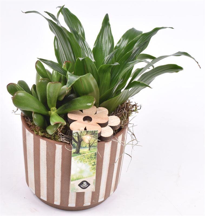 <h4>Keramiek safari look 14cm</h4>