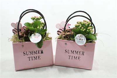 <h4>ZK01 PINK BAG</h4>