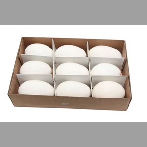 Deco Egg Goose 9pc