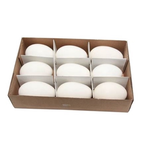 Deco egg goose 9pc