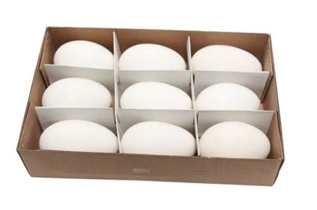 <h4>Deco egg goose 9pc</h4>