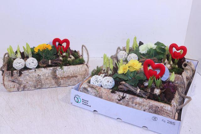 <h4>ARR GARDEN BARK X2</h4>