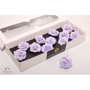 Roos Wax Zijde 9372 M Lavender