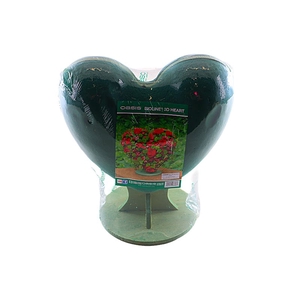 Oasis Bioline 3D Heart Big