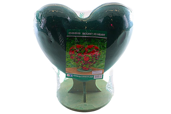 Oasis Bioline 3D Heart Big