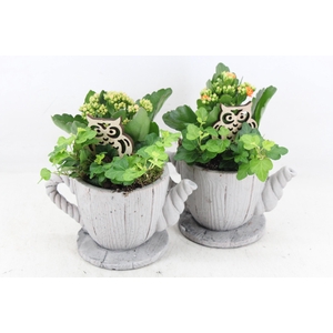 arr2 JS - Ker. hout thee pot 338/6