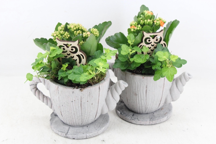<h4>arr2 JS - Ker. hout thee pot 338/6</h4>