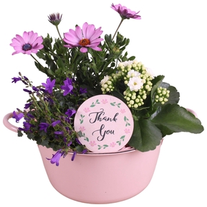 Mothersday Arr. Outdoor Zinc Bowl With Handles Pink Ø22cm 3PP